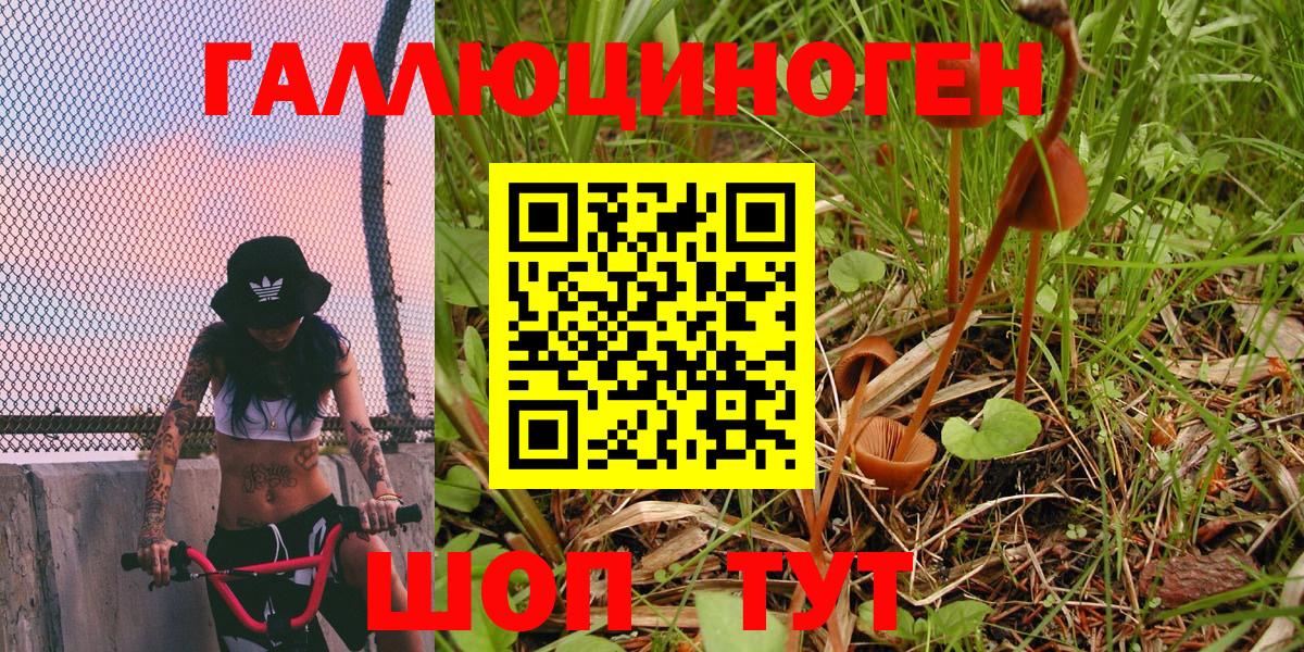 Псилоцибиновые грибы ЛСД Новоуральск